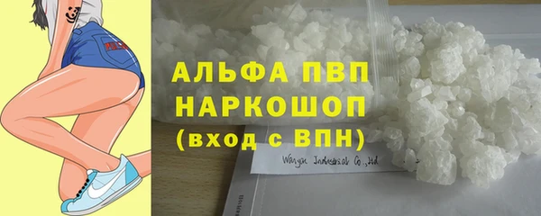 шишки Баксан