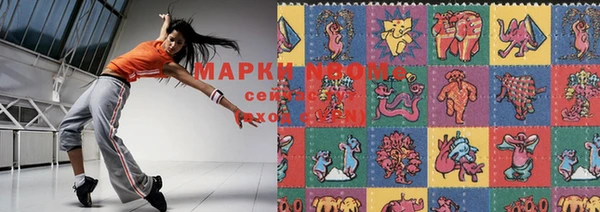 шишки Баксан