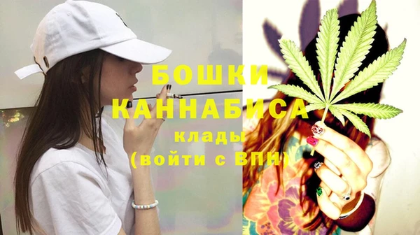 PSILOCYBIN Балахна
