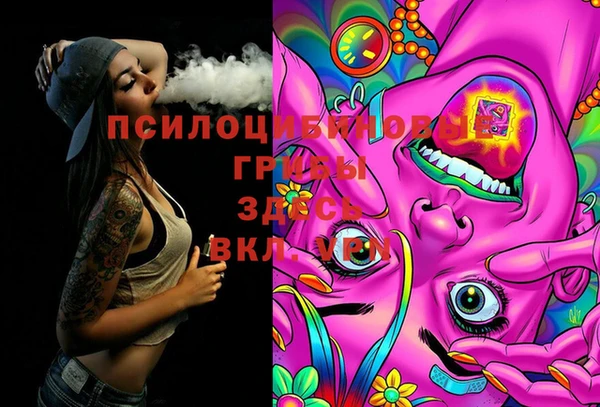 PSILOCYBIN Балахна